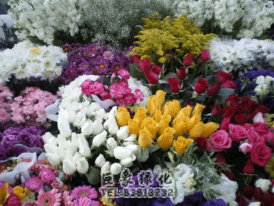 我國花卉市場(chǎng)的現(xiàn)狀及發(fā)展趨勢(shì)簡(jiǎn)析
